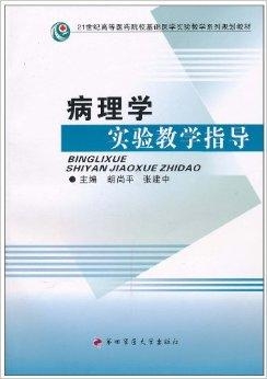 李涛最新教学指南，探索卓越教育的历程与深远影响