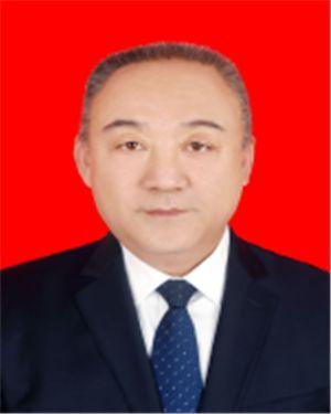 中石油改革动态速递，深入探析某某观点
