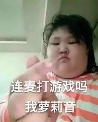 科技引领下载新纪元，最新版迅雷强势来袭